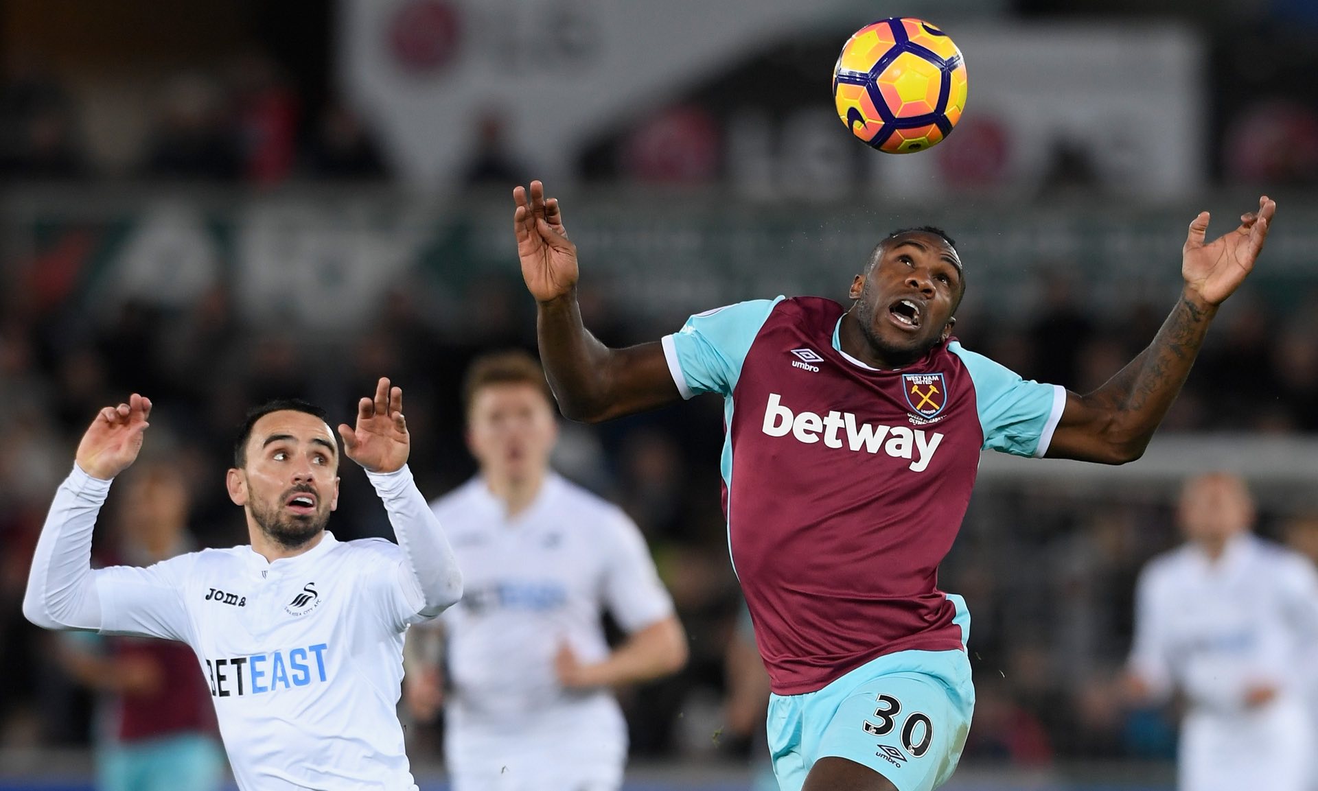 然因素如暴 然因素如暴